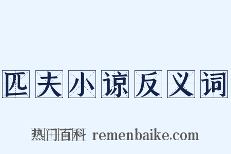 匹夫小谅反义词是什么意思的图片